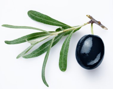 Yeşil Zeytin