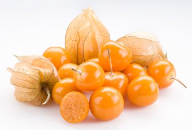 Physalis clipart