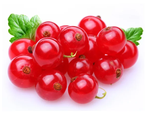 Currant red — Stock Photo, Image