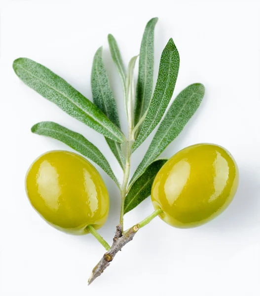 Groene olijven — Stockfoto