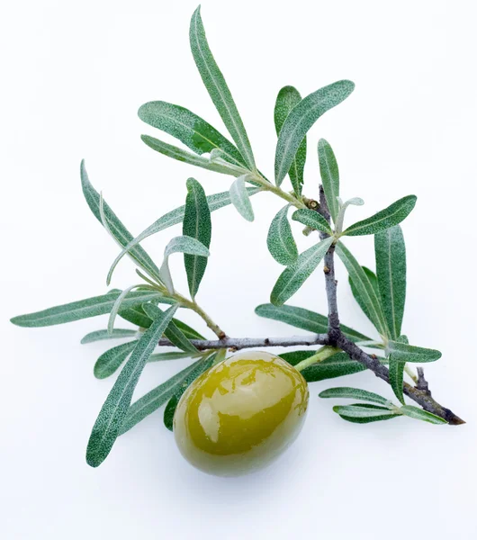 Groene olijven — Stockfoto