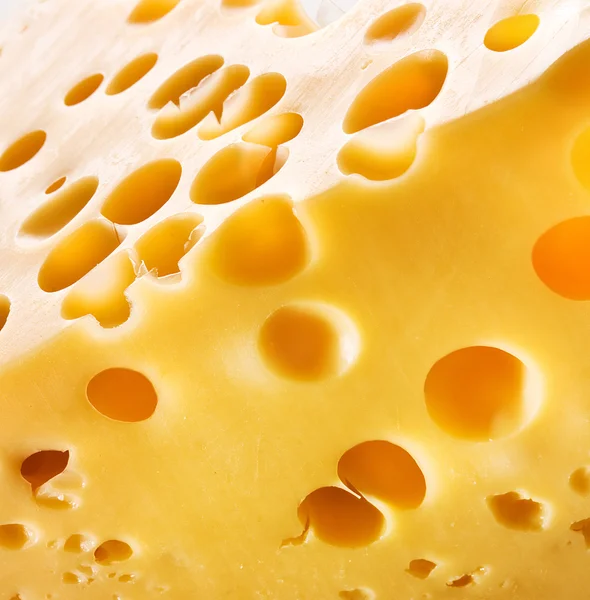 İsviçre peyniri arka plan. — Stok fotoğraf