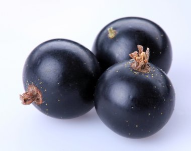 Currant black clipart