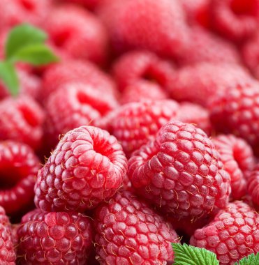 Raspberry clipart