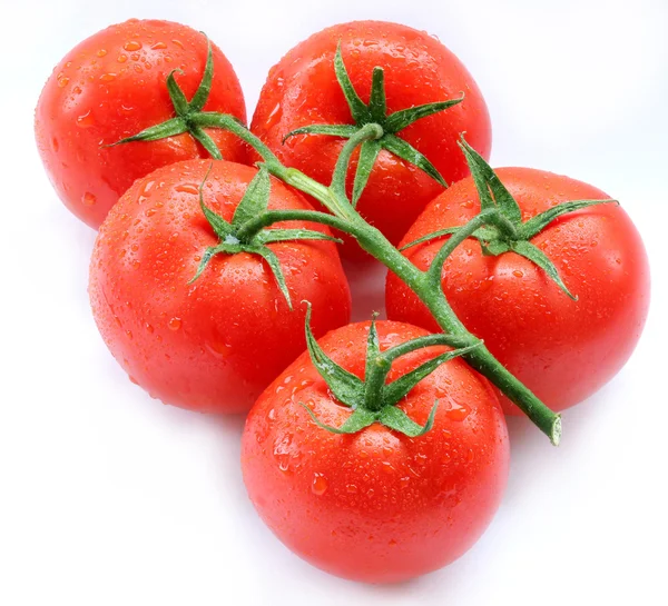 Tomates; objetos sobre fondo blanco — Foto de Stock