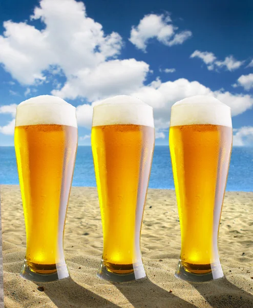 Kumsalda bira — Stok fotoğraf