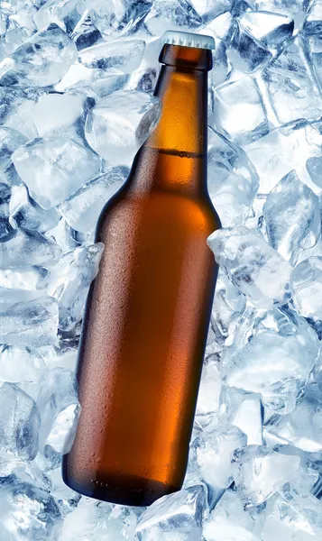 Una botella de cerveza está en el hielo —  Fotos de Stock