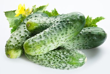 Cucumbers clipart