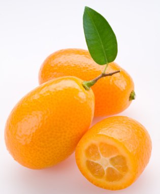 Kumquat clipart