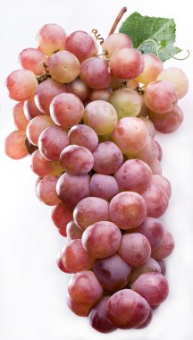 Grapes clipart