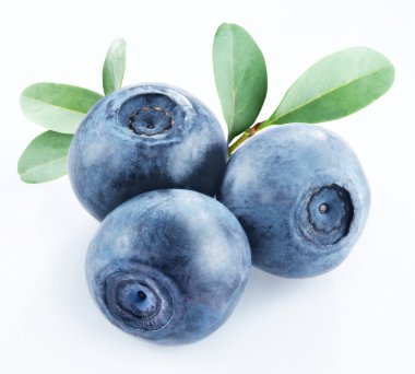 Bilberry clipart