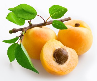 Apricots clipart