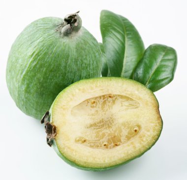 Feijoa clipart