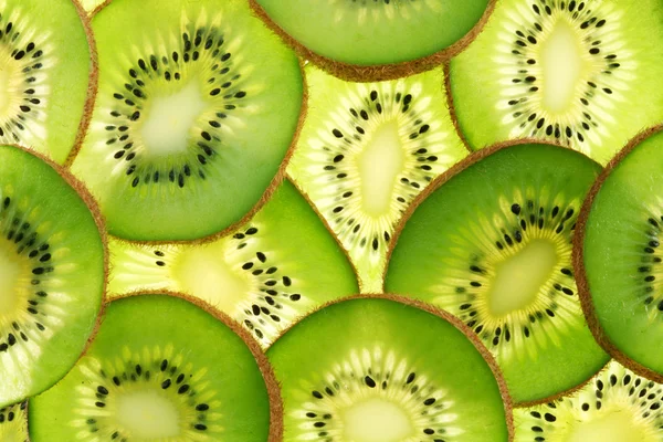 Back projected (lighted) cross sections of kiwi — Stock Photo, Image