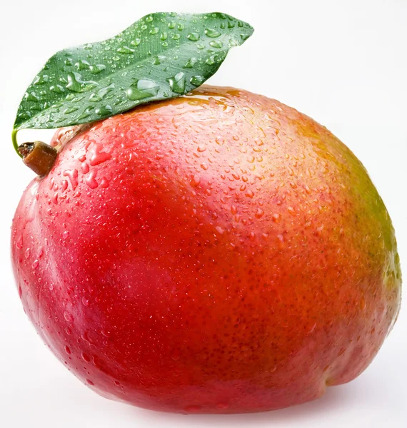 Mango rojo sobre fondo blanco — Foto de Stock