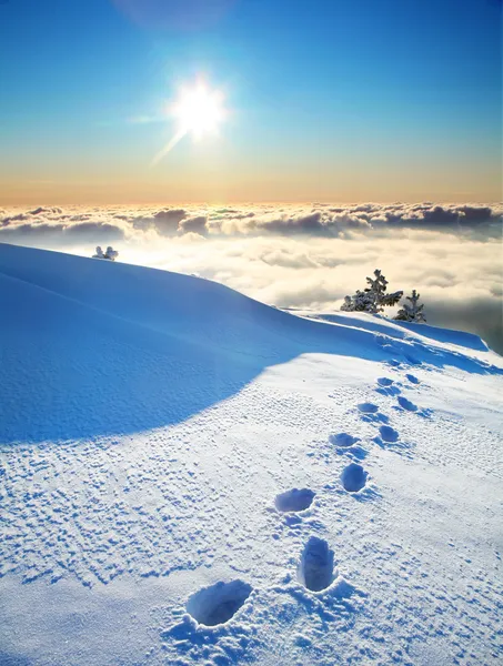 Fotspår på snö — Stockfoto