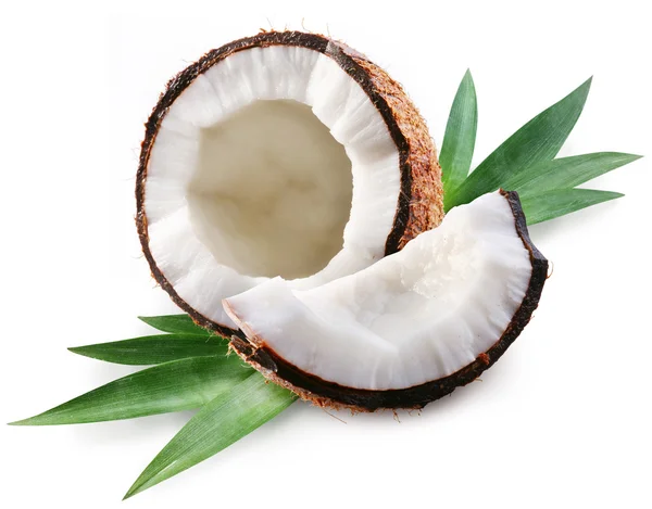 Kokosnötter Stockbild