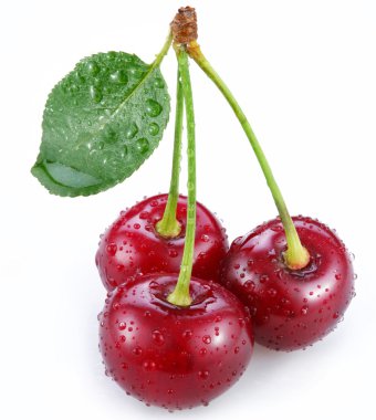 Cherry clipart