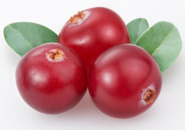 Cranberries clipart