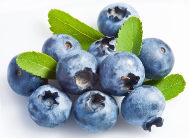 Bilberry on a white background clipart