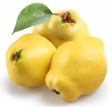 Quince on a white background clipart