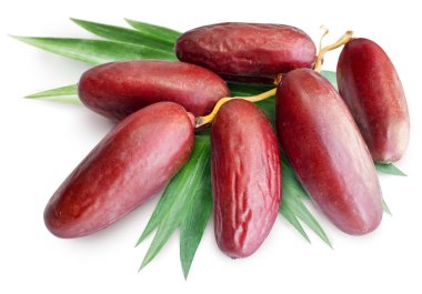 Cluster of dates with leaves on a white background clipart