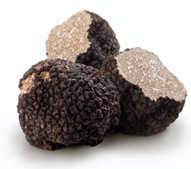 Black truffles on a white background clipart