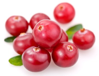 Cranberries clipart