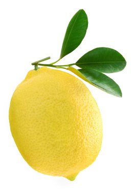 Lemon clipart