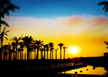 The silhouettes of palms on beautiful sunset background clipart