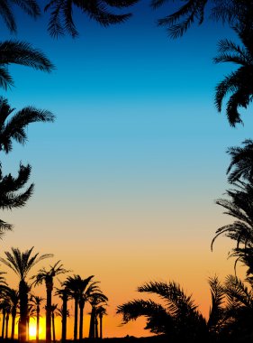 The silhouettes of palms on beautiful sunset background clipart