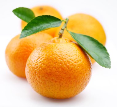 Tangerines with leaves on a white background clipart