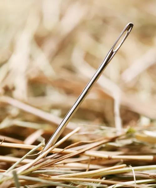 Needle is in a haystack — Stockfoto