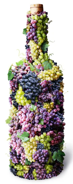 Vine bottle twined round with clusters of grape — Stock Photo, Image