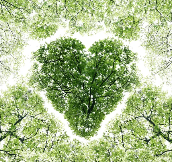 Hjärta, bestående av grenar — Stockfoto