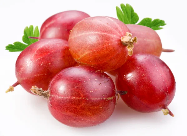 Berries of gooseberry. — Stock Photo, Image