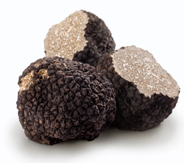 Black truffles on a white background — Stock Photo, Image