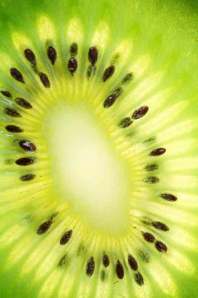 Back projected (lighted) cross sections of kiwi — Stock Photo, Image