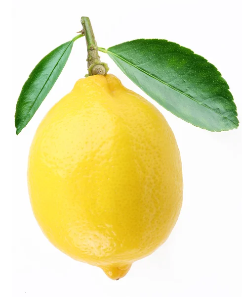Лимон с листьями на белом фоне — стоковое фото