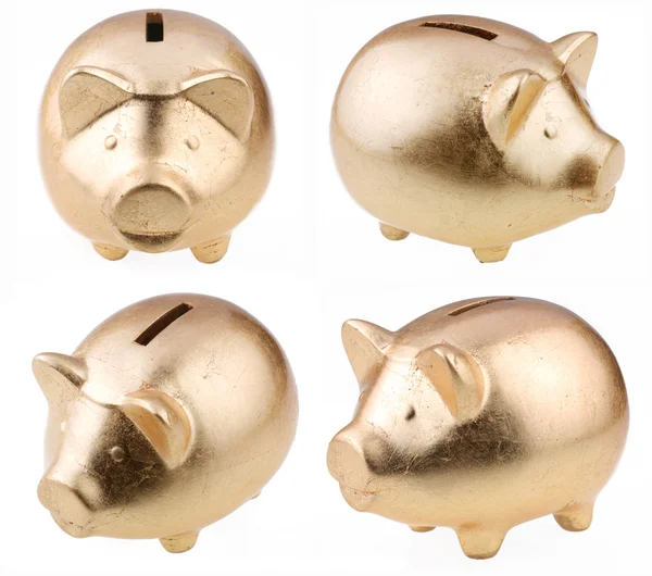 Porco dourado como caixa de dinheiro em um fundo branco — Fotografia de Stock