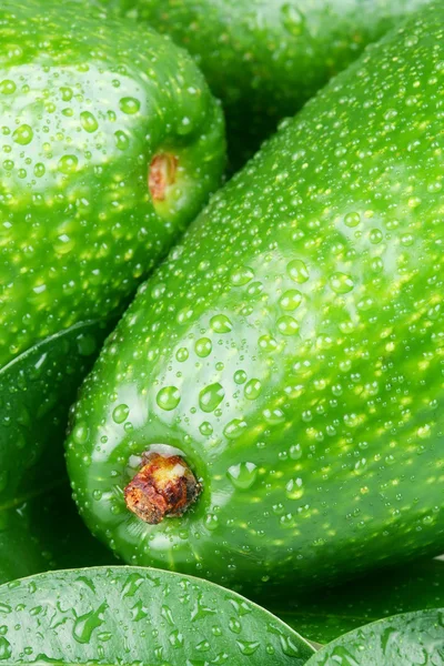Авокадо з листям — стокове фото