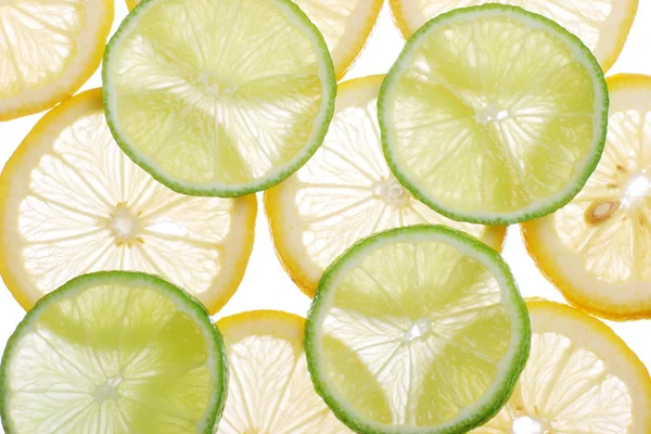 Brighten citrus slices on a white — Stock Photo, Image