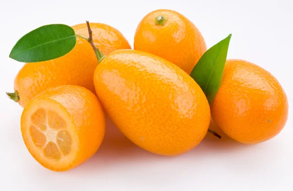 Citrussläktet — Stockfoto