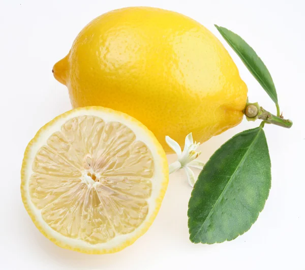 Лимон с разделом на белом фоне — стоковое фото