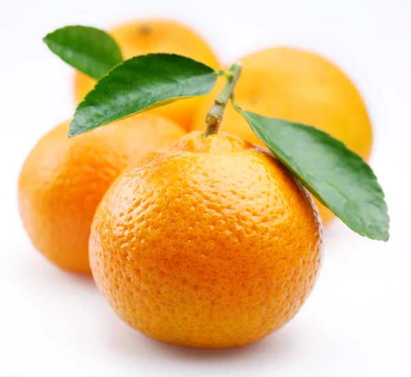 Mandarinen mit Blättern auf weißem Hintergrund — Stockfoto