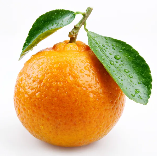 Mandarina con hojas sobre un fondo blanco —  Fotos de Stock
