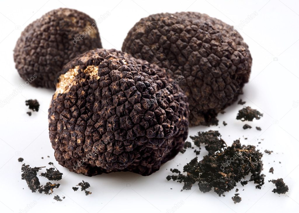Black truffles with the pieces of soil on a white background