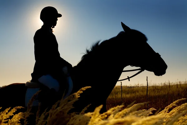 Jockey and horse silhouettes in the field in summertime — Stock Photo, Image