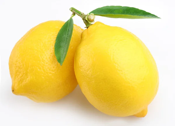 Zitrone mit Blättern auf weißem Hintergrund — Stockfoto