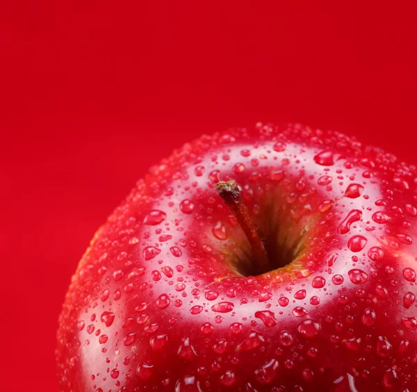 Červené jablko s listy na červeném pozadí — Stock fotografie